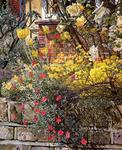 Stanley Spencer - Rock roses. Old Lodge. Taplow